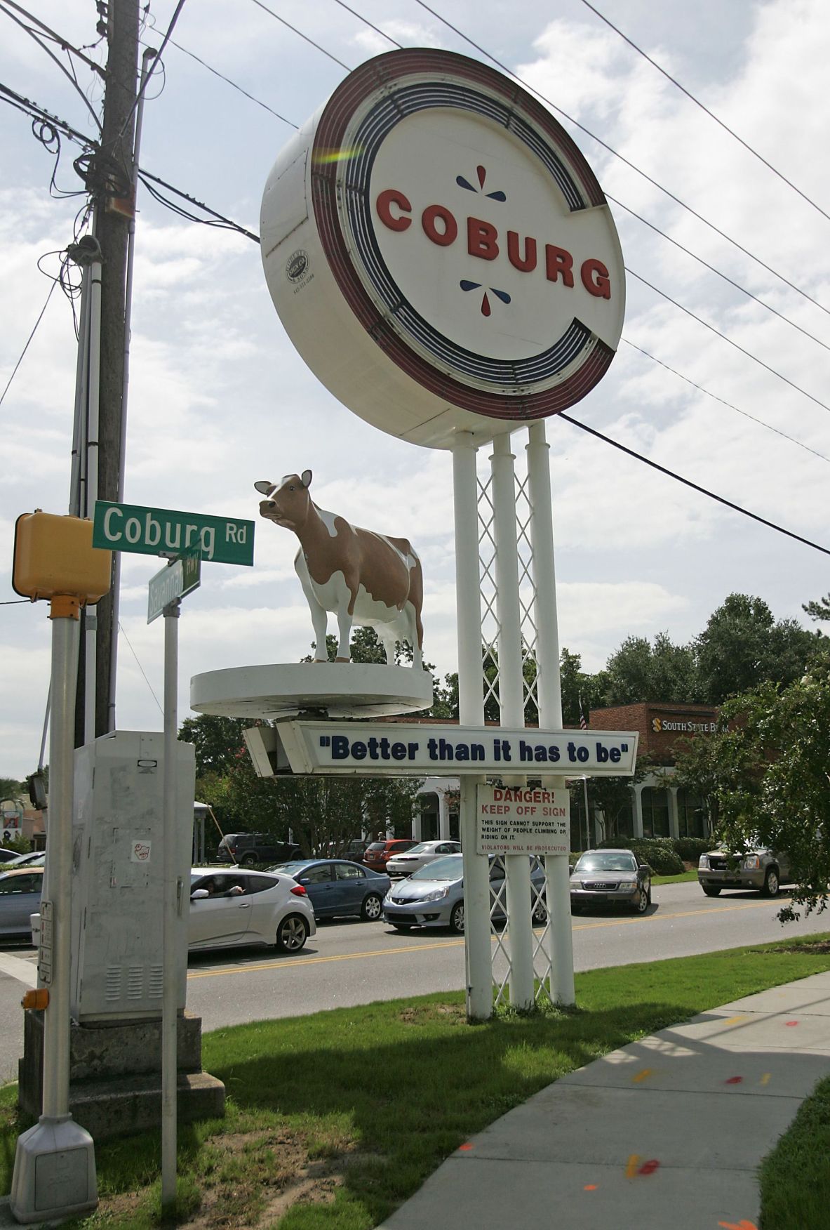 Coburg Cow